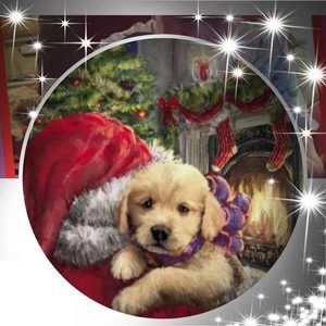 Meet your Posher, Janet